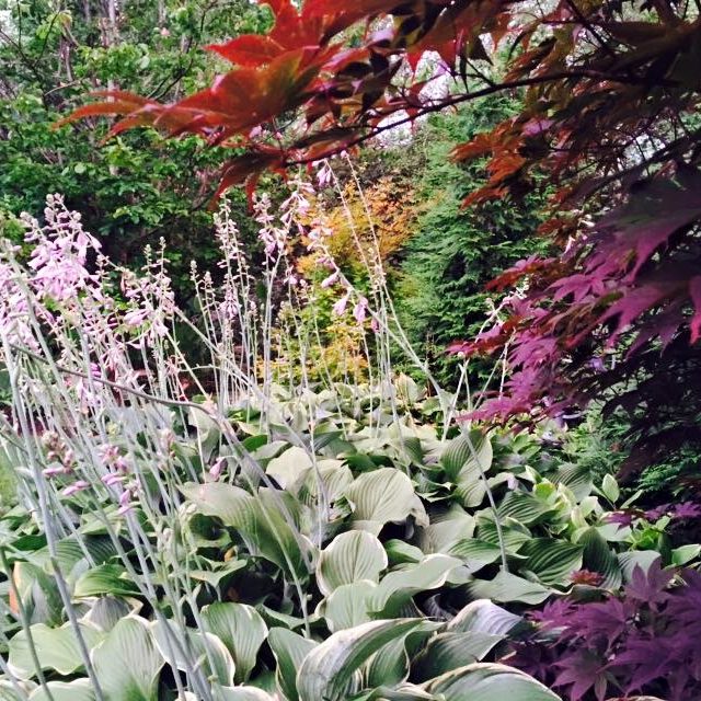 Bright Shade Gardens LLC BrightShade Gardens, LLC. Our Work