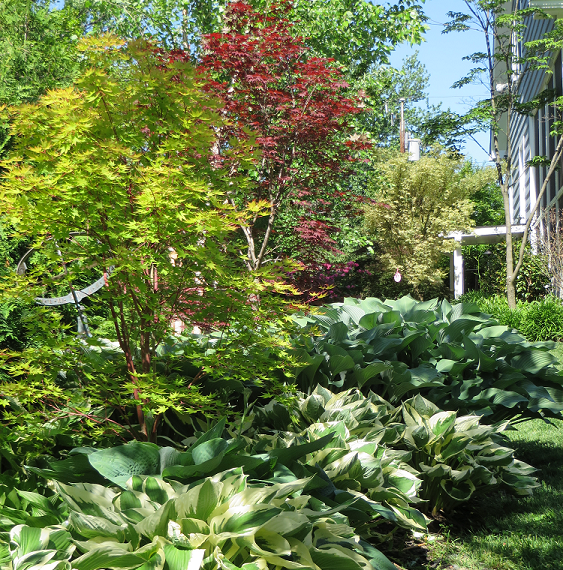 Bright Shade Gardens LLC BrightShade Gardens’ Garden