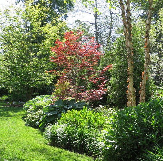 Bright Shade Gardens LLC BrightShade Gardens’ Garden