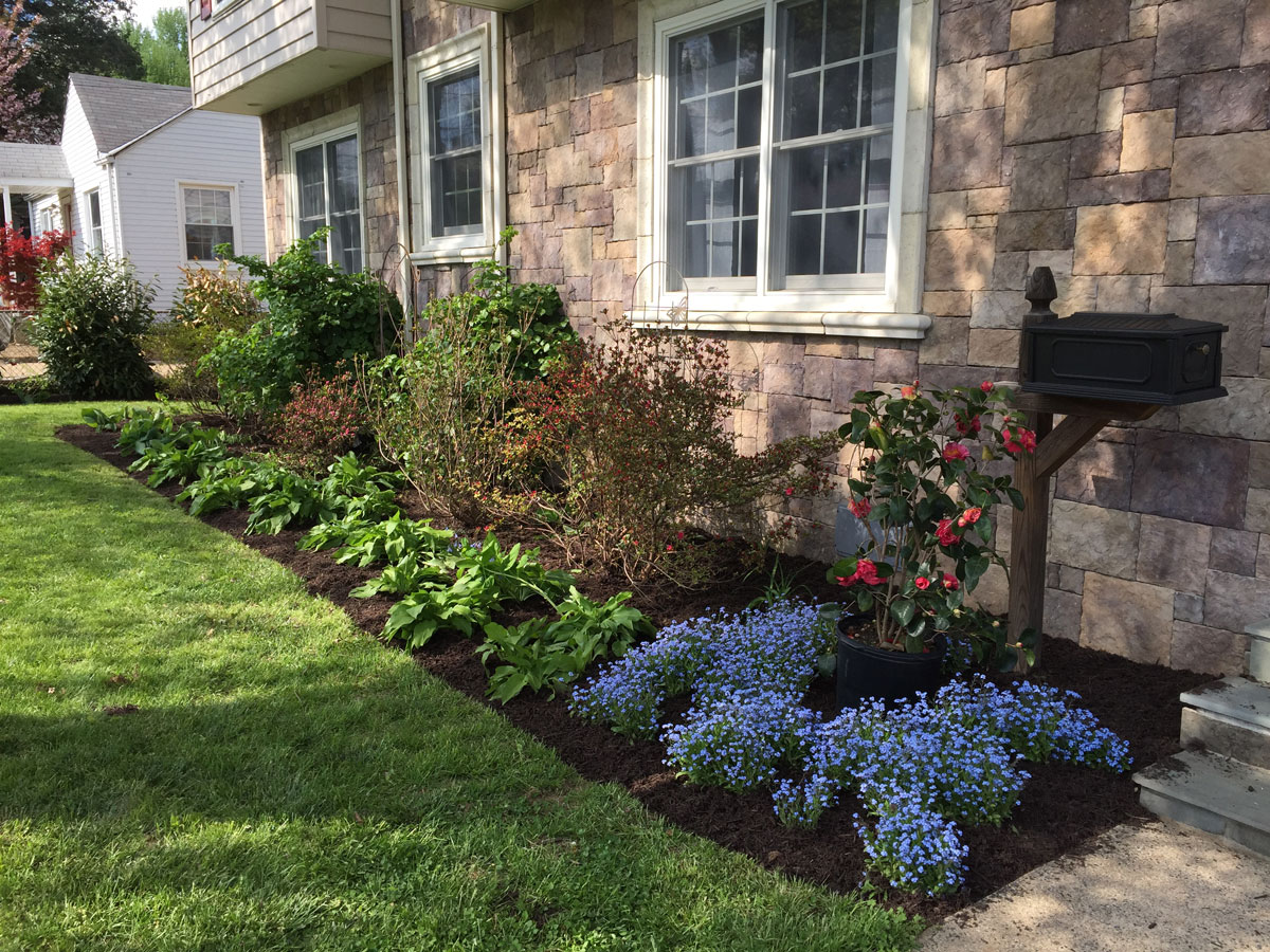 BrightShade Gardens LLC BrightShade Gardens, LLC. Our Services